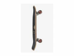 Globe Burner 31 Ola - Complet/Cruiser/Street Sports - Planche de Skate Polyvalente -Side-Shore Soldes Magasin burner 31 ola globe 4