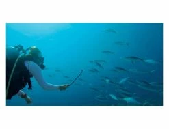 GoPro 3-Way Grip - Poignée, Trépied et Extension pour Caméras GoPro -Side-Shore Soldes Magasin gopro 3 way grip 14