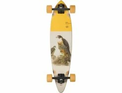 Globe Pintail 34 Falcon - Longboard Complet - Street Sports -Side-Shore Soldes Magasin pintail 34 falcon globe 3