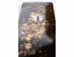 Reptilian (Aaron Loreth) - Planche à Roulettes pour Sports de Rue | Qualité Professionnelle -Side-Shore Soldes Magasin reptilian aaron loreth limosine 4